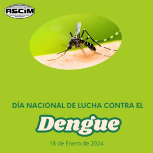 Día Nacional de Lucha contra el Dengue