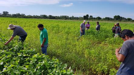 Día de Campo en Campo Largo