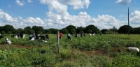 Jóvenes participan en semana de aclimatización en La Huerta