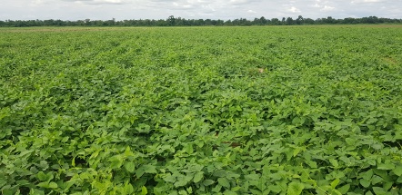 … und dann kam der groβe Regen!!!