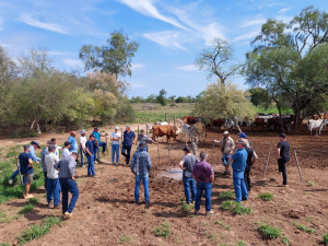 Miembros de la Iglesia MBG-Blumental visitan a comunidades