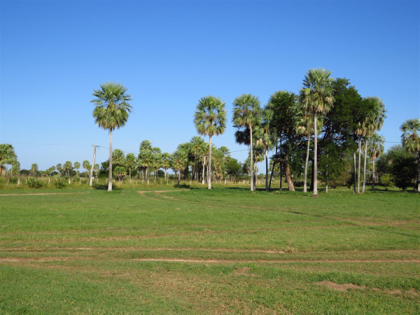 Wirtschaftswachstum der indigenen Gemeinschaften, die mit der ASCIM zusammenarbeiten