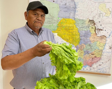El líder de Casuarina - regalando lechuga a los colaboradores de la ASCIM