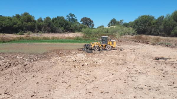 Consecuencias de la sequía en grupos Profinca 5F
